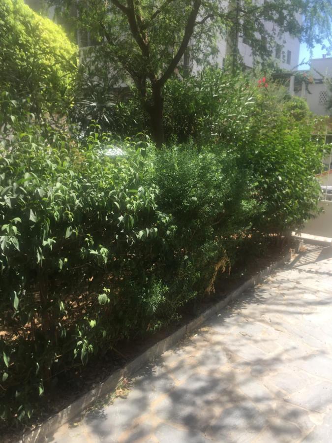 La Vie En Rose Studio,Close To Beach, Paleo Faliro 雅典 外观 照片