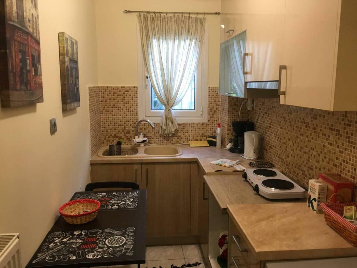 La Vie En Rose Studio,Close To Beach, Paleo Faliro 雅典 外观 照片