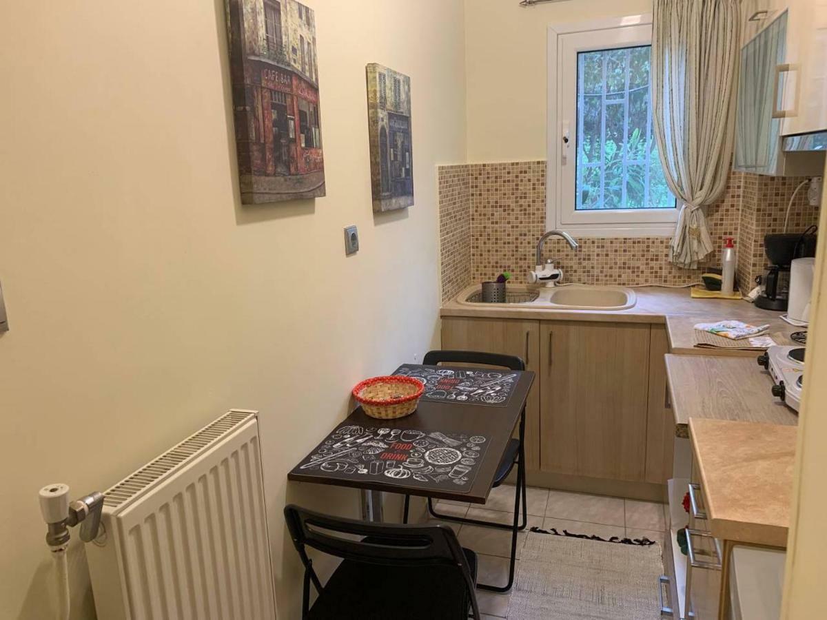 La Vie En Rose Studio,Close To Beach, Paleo Faliro 雅典 外观 照片